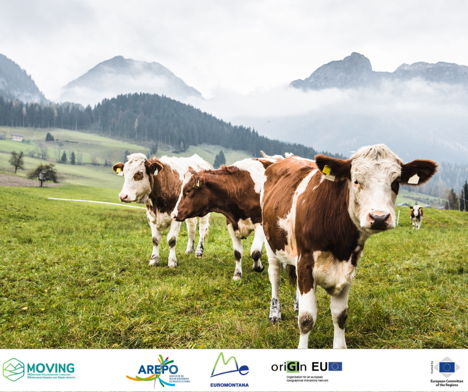 The new legal framework for EU Quality Products: opportunities and challenges for mountain and GI products