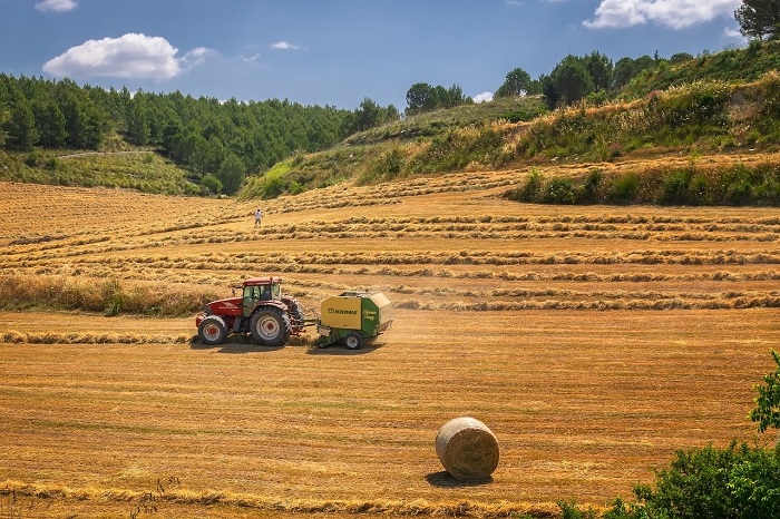 Il CdR accoglie con favore l'accordo che pone le comunità regionali e locali al centro della politica agricola dell'UE